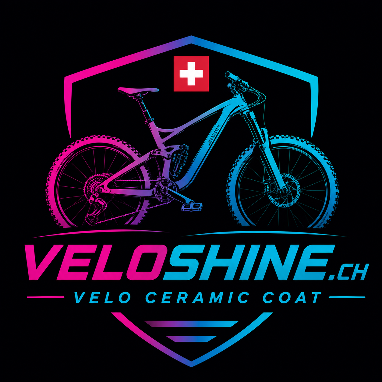 VeloShine.CH Logo